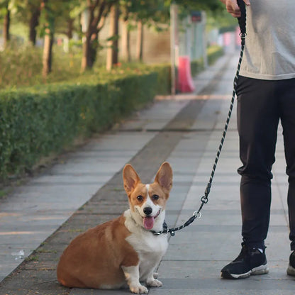 Martingale Sliding Stopper Dog Collar