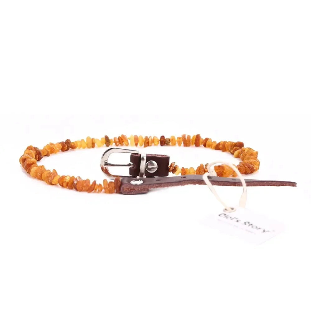 Baltic Amber Pet Flea & Tick Collar