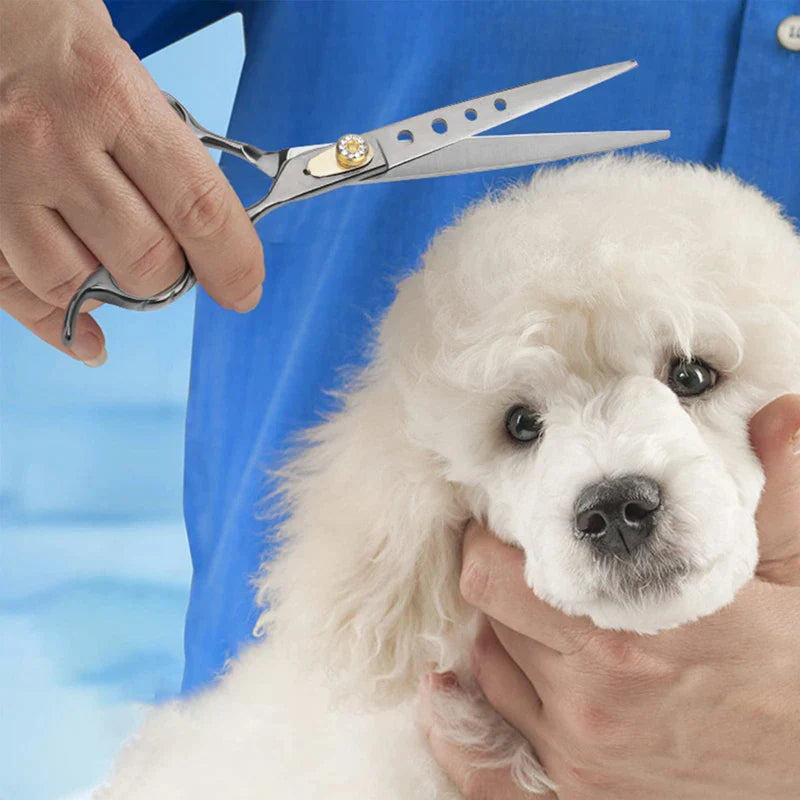 Japanese 440C Stainless Steel Dog Scissors