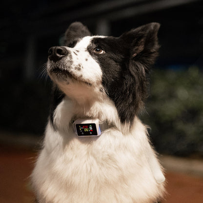 Smart Bark Control Dog Training Collar