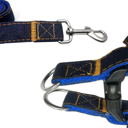 Premium Denim Leash & Harness