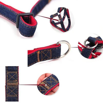 Premium Denim Leash & Harness