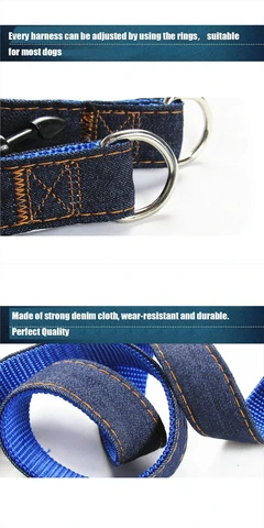 Premium Denim Leash & Harness