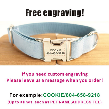 SKY BLUE Suede Fabric Dog Collar