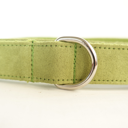SOFT GREEN Suede Pet Collar