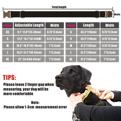 SPACE MONSTER Pet Collar & Lead
