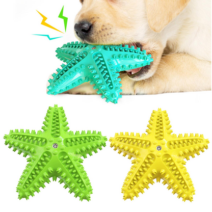 Starfish Teeth Molar Dog Toy
