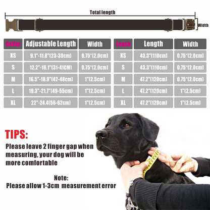 THE SHARK Grey Basic Dog Collar