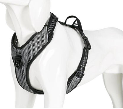 Reflective D-Flex Buckle Dog Harness