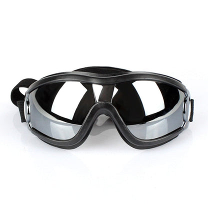 Anti Fog Dog Snow Goggles