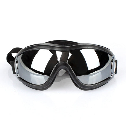 Anti Fog Dog Snow Goggles