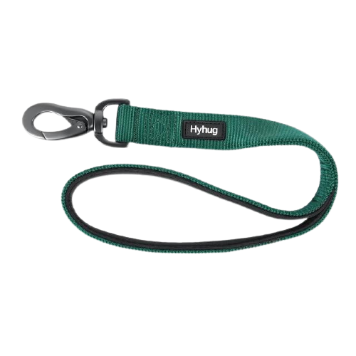 Padded Nylon Dog Walking Leash