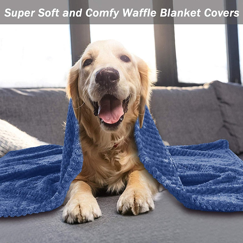 All Seasons Fluffy Dog Blanket
