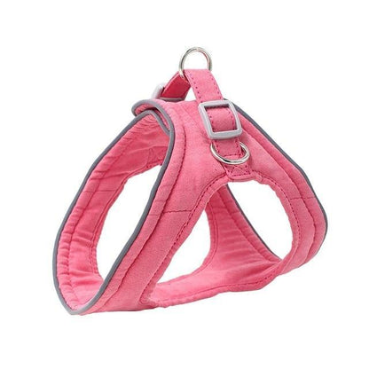 Pet Dog Training Harness - The Bark ¡®n¡¯ Paws