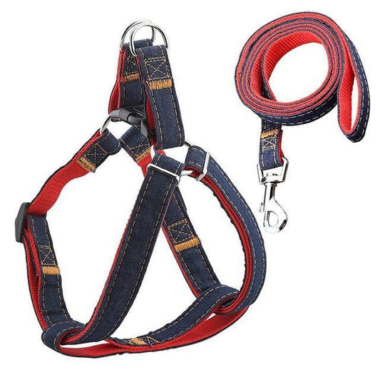 Denim Leash & Harness - The Bark ¡®n¡¯ Paws
