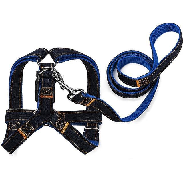 Denim Leash & Harness - The Bark ¡®n¡¯ Paws