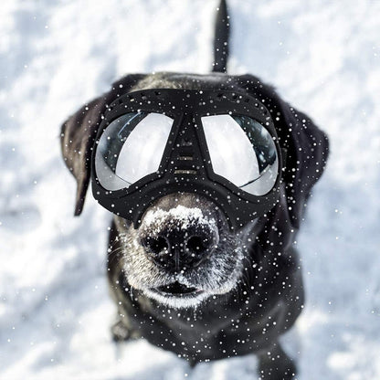 Quality Large Dog Windproof Goggles