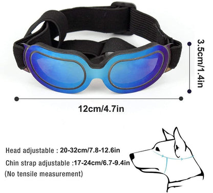 Fashion Small Dog Windproof Goggles