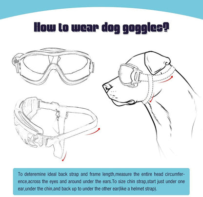 Fashion Small Dog Windproof Goggles