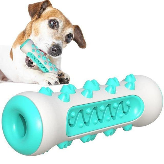 Molar Chewy Toy Toothbrush - The Bark ¡®n¡¯ Paws