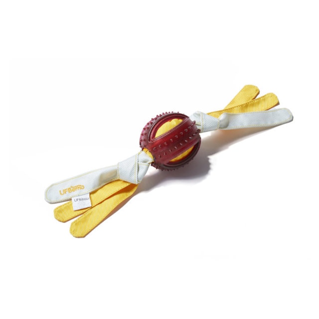 Interactive Rubber Dog Chewy Bite Toys
