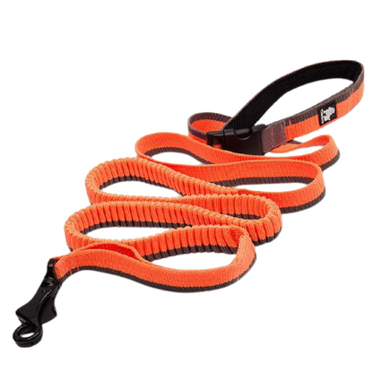 Elastic Bungee Dog Rope Leash