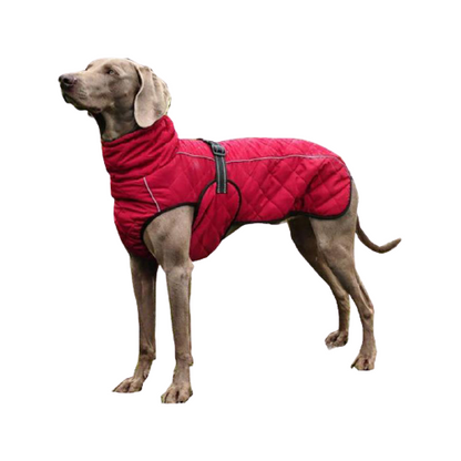 Waterproof Large Dog Winter Jacket