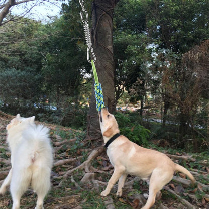 Stainless Steel Spring Pole Dog Toys