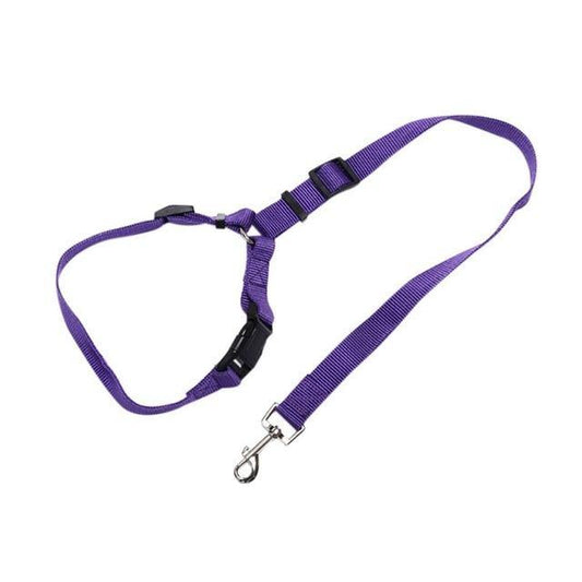 Pet Car Seat Belt - The Bark ¡®n¡¯ Paws