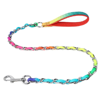 Stainless Steel Dog Collar Lead Set