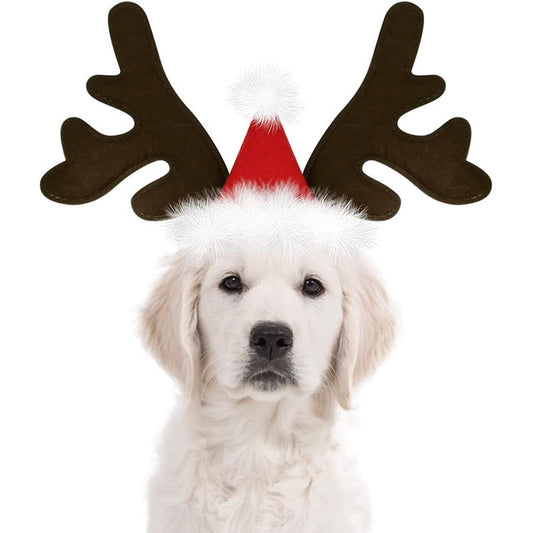 Christmas Reindeer Antlers Dog Hat