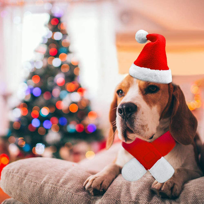 Cute Christmas Dog Hat & Scarf Set