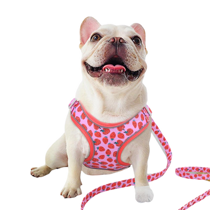 Reflective Fruit Printed Dog Harness & Lead