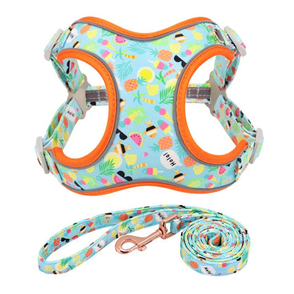 Reflective Fruit Printed Dog Harness & Lead