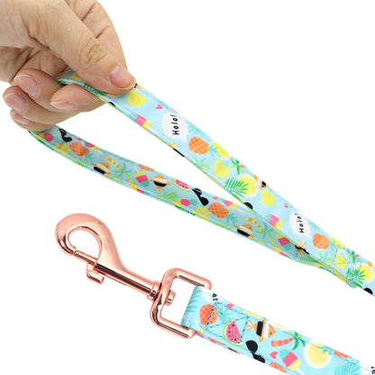 Reflective Fruit Printed Dog Harness & Lead