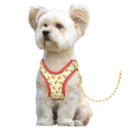 Reflective Fruit Printed Dog Harness & Lead