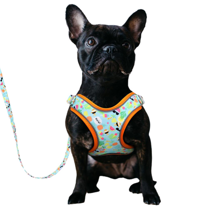 Reflective Fruit Printed Dog Harness & Lead
