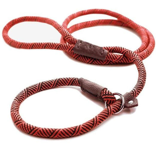 Durable Dog Slip Rope Leash
