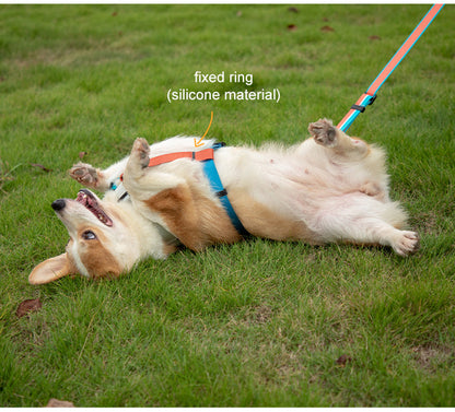 Stylish Adjustable Nylon Dog Harness