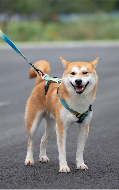 Stylish Adjustable Nylon Dog Harness