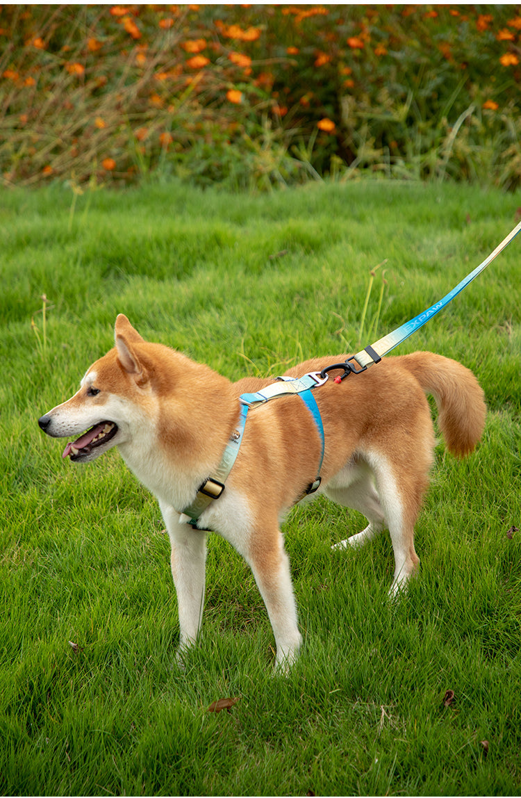 Stylish Adjustable Nylon Dog Harness
