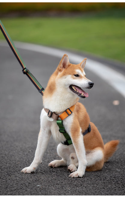 Stylish Adjustable Nylon Dog Harness