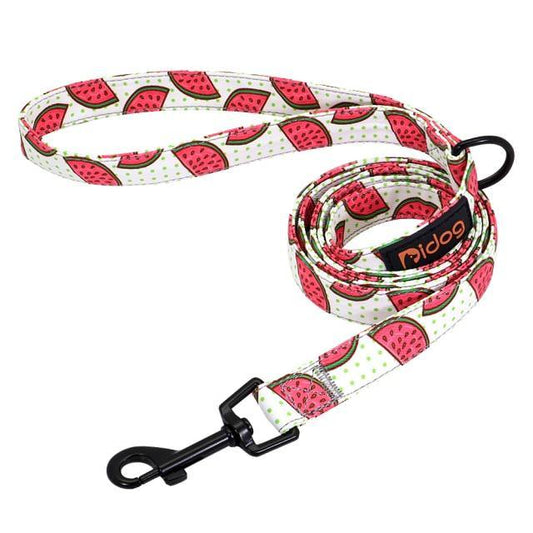 150cm Fashion Nylon Dog Leash - Bark ‘n’ Paws