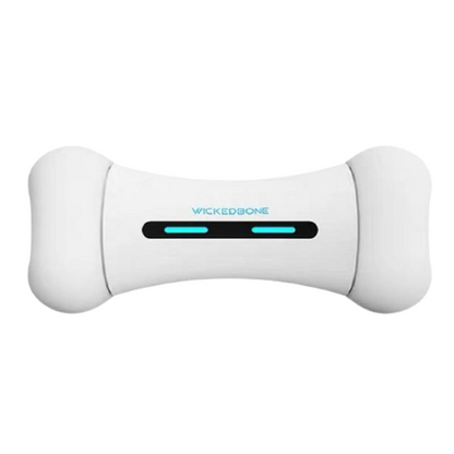 Interactive Smart Dog Bone Toy