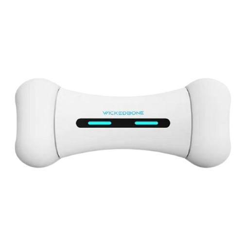 Interactive Smart Dog Bone Toy