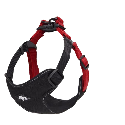 Reflective Night Safety Dog Harness