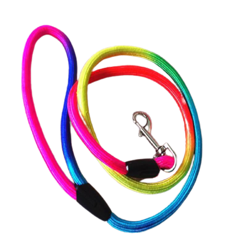 Rainbow Color Weave Nylon Dog Leash