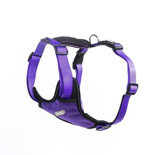 Breathable No Pull Dog Harness - Bark ‘n’ Paws