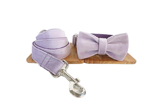 PURPLE VELVET Dog ID Collar