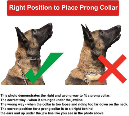 Adjustable Prong Dog Training Collar